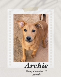 Archie