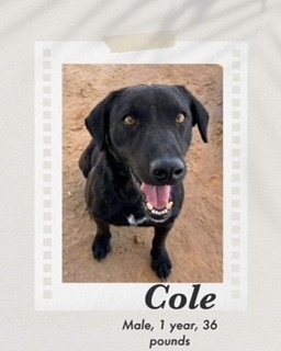 Cole