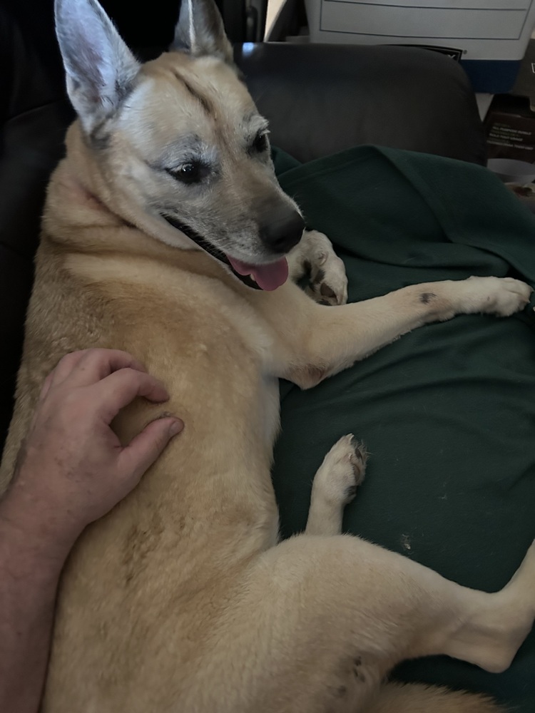 Dakota, photo 3