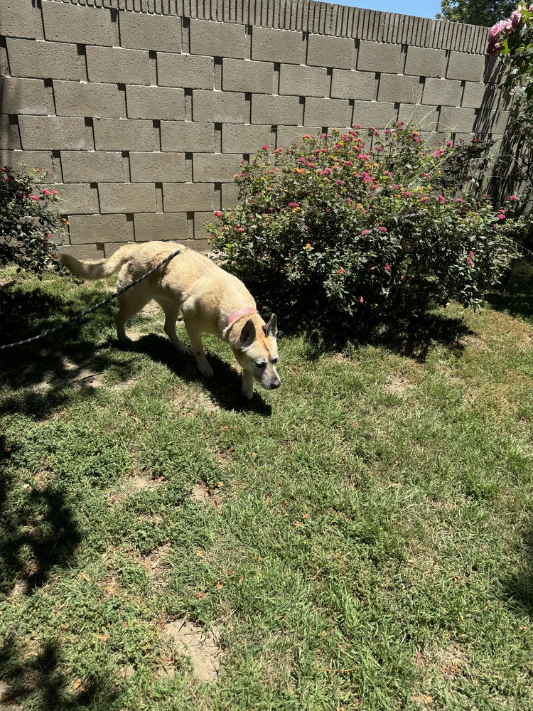 Dakota, photo 4