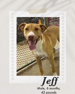 Jeff