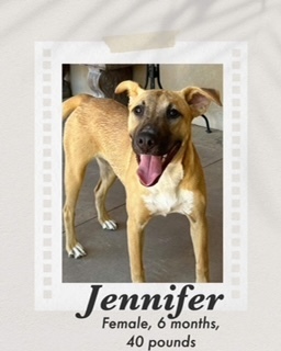 Jennifer