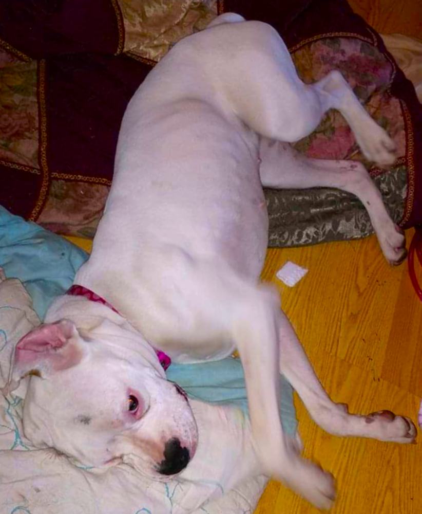 Ryleigh II, photo 3