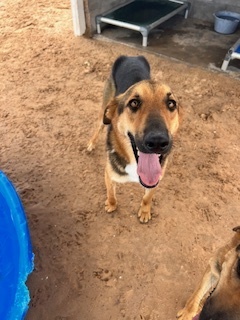 Tyson