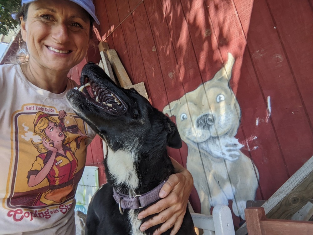 Photo of Luna, adoptable Shepherd (Unknown Type) in Dana Point, California