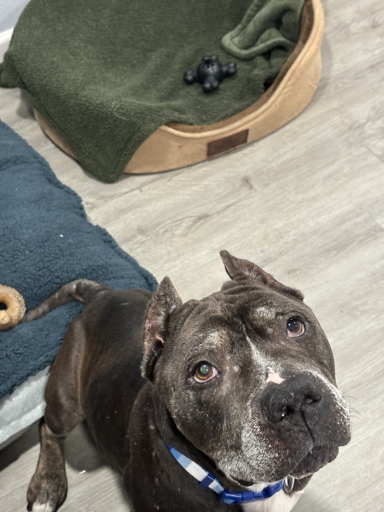 Despite being abandoned, Dutch is loving and looking for love