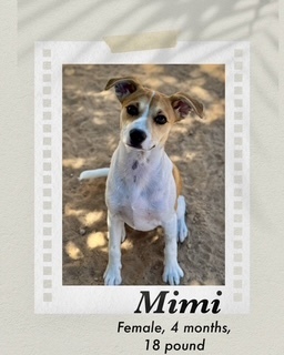 Mimi