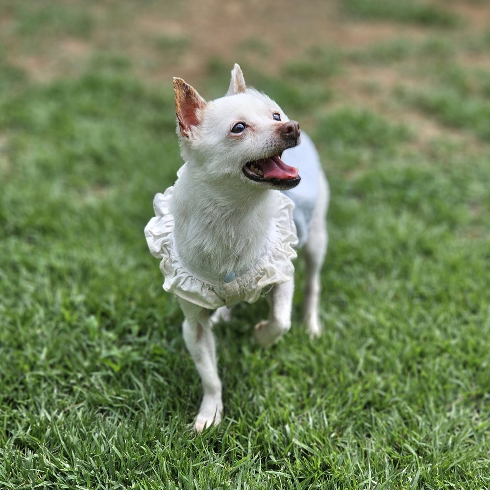 Slide 1