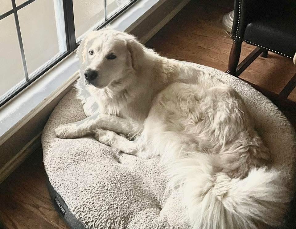 Sammy AKA Samuel