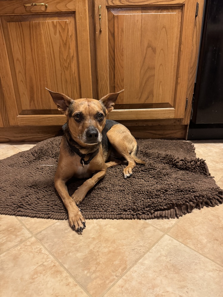 7489 Janette photo 6