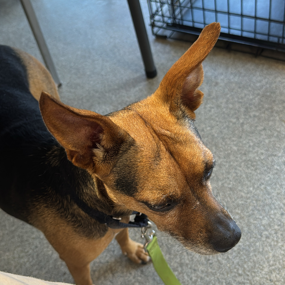 7489 Janette photo 7