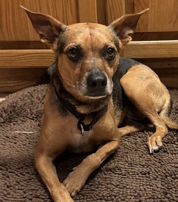 7489 Janette photo 3