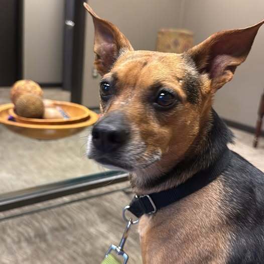 7489 Janette photo 4