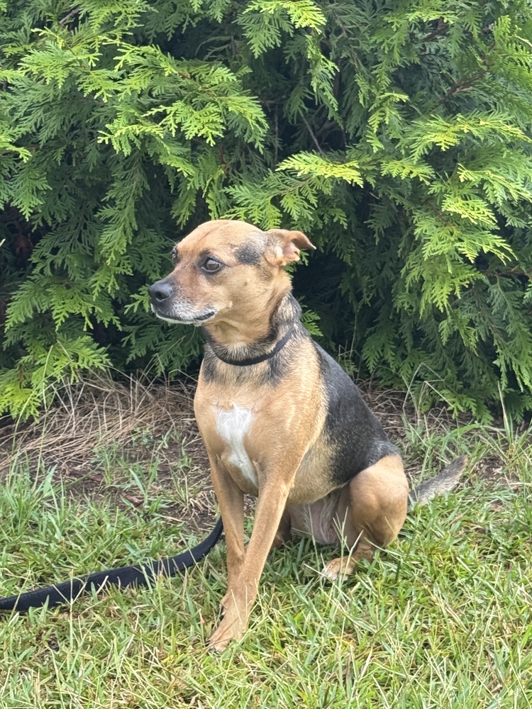 7489 Janette photo 2