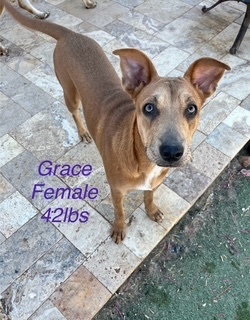 Grace
