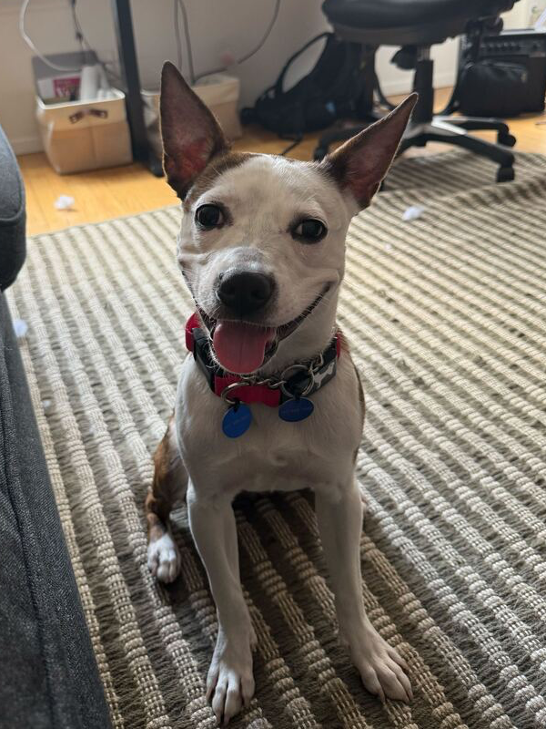 Remi