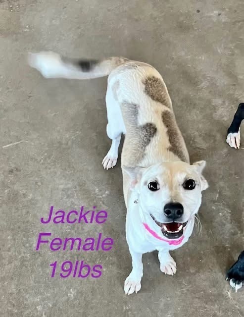 Winnie/Jackie