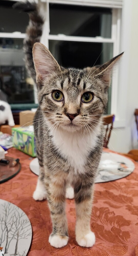 7388 Cranberry photo 2