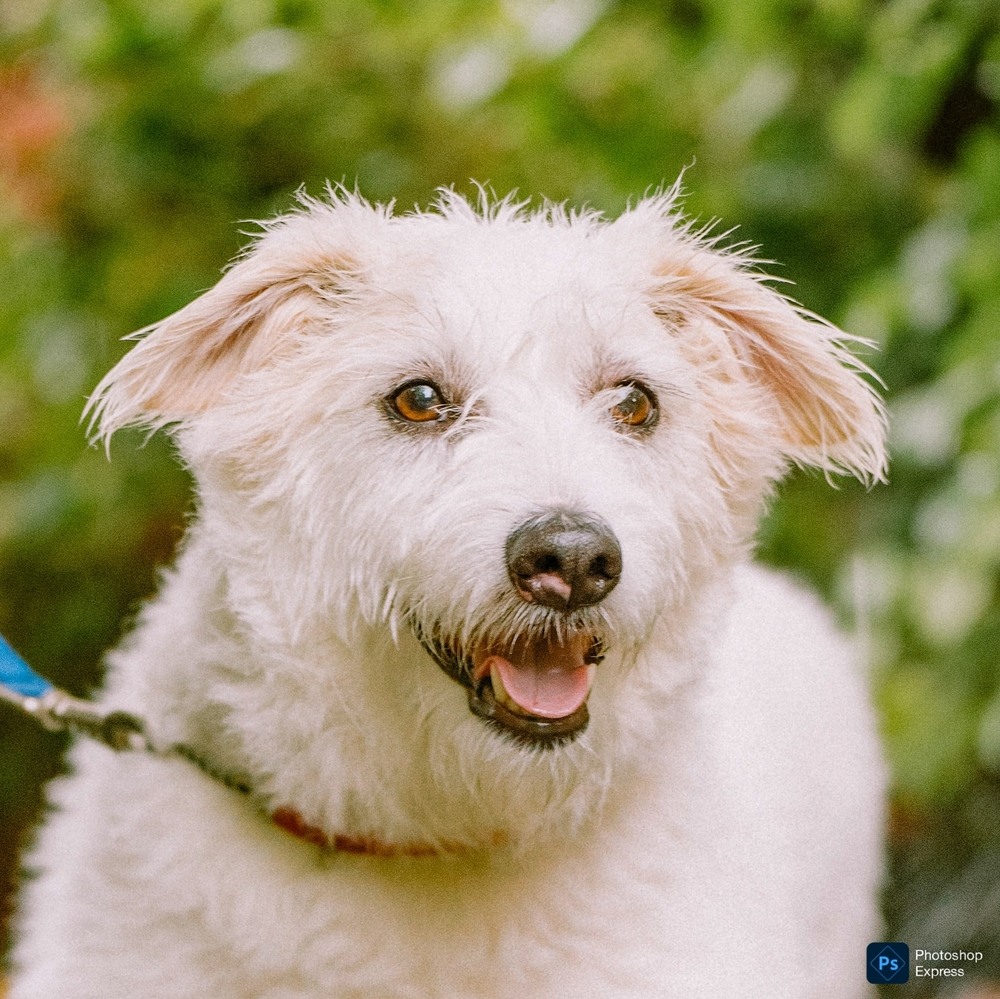 Weird Stand-Up Comedy Moments in London, image size:1000x999