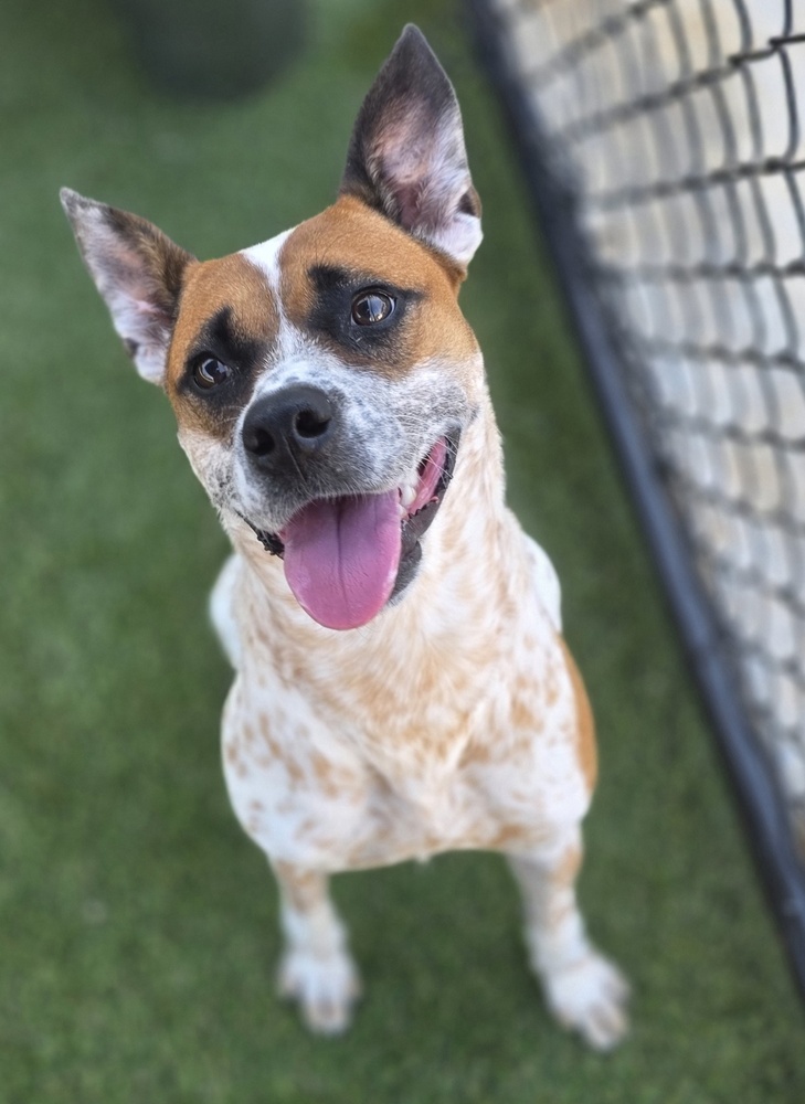 7643 Sunflower photo 5