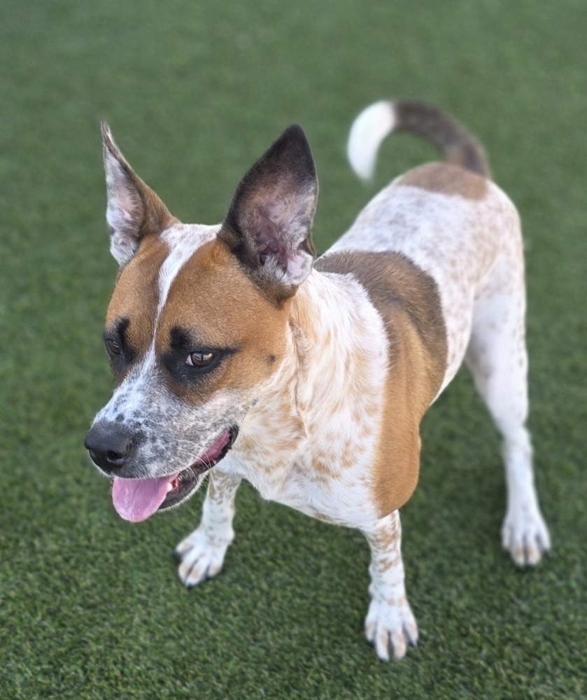 7643 Sunflower photo 3