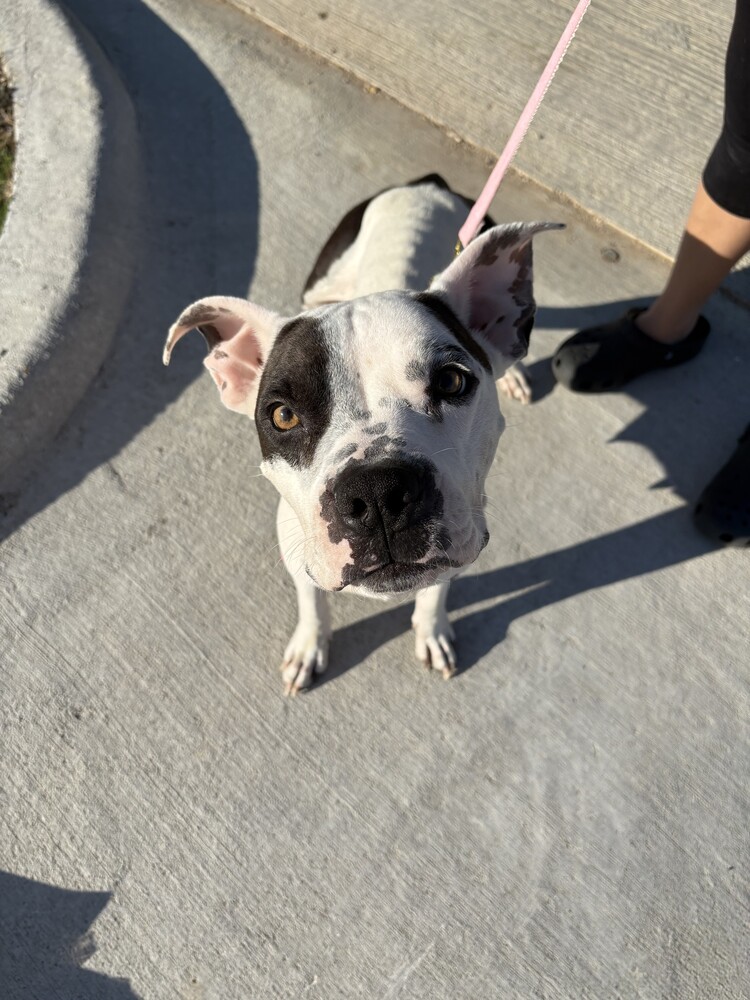 Penelope  photo 8