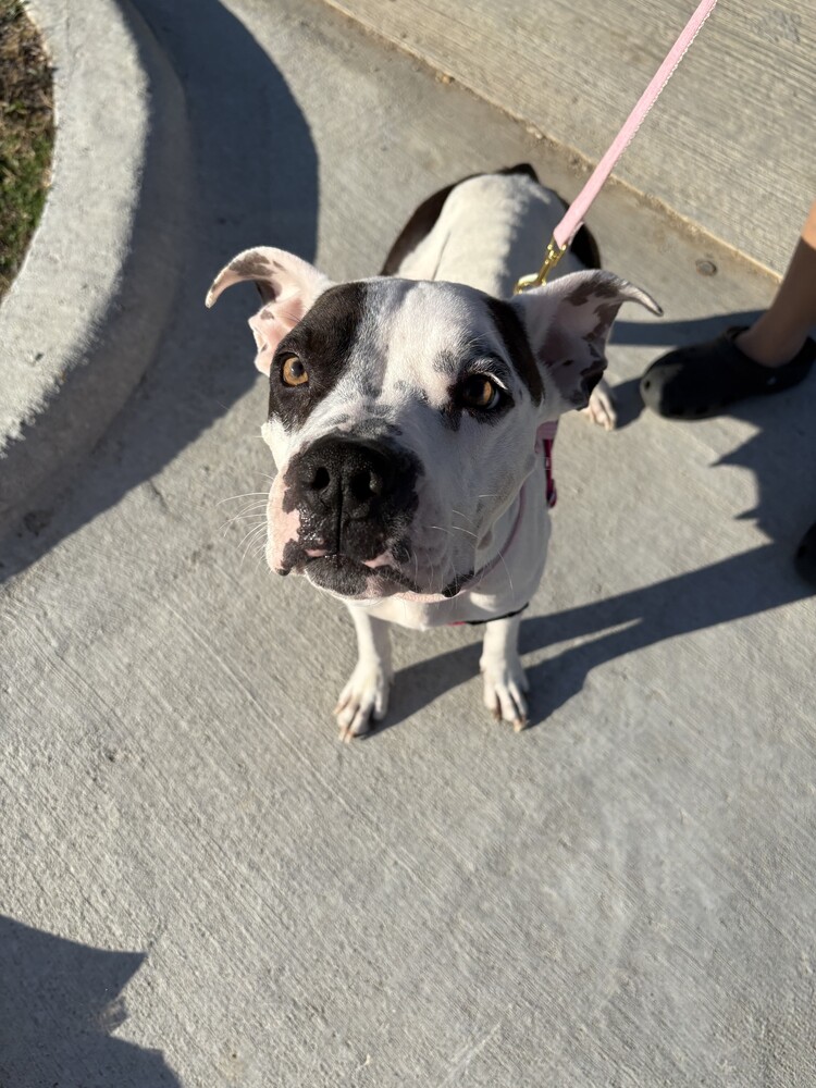 Penelope  photo 6