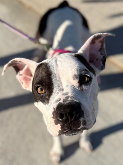 Penelope  photo 3