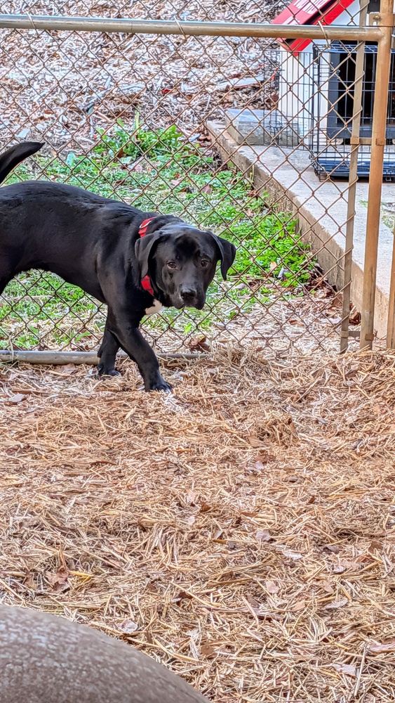 7693 Stubbie photo 3