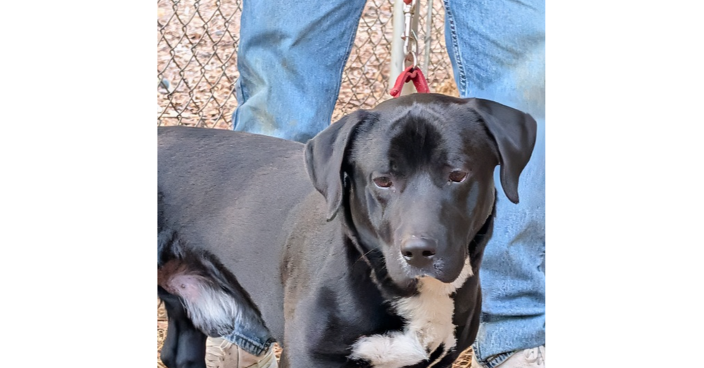 7693 Stubbie photo 2