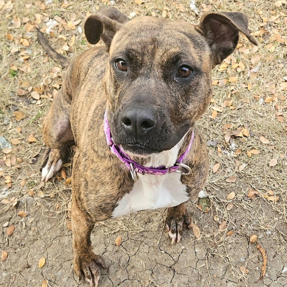Zoe photo 2