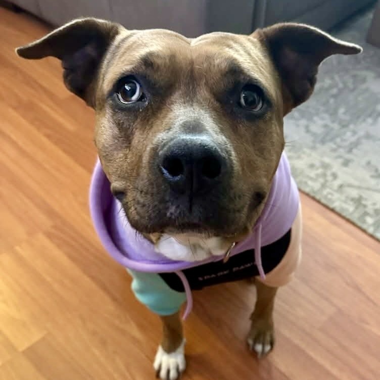 Rosie Cinderella