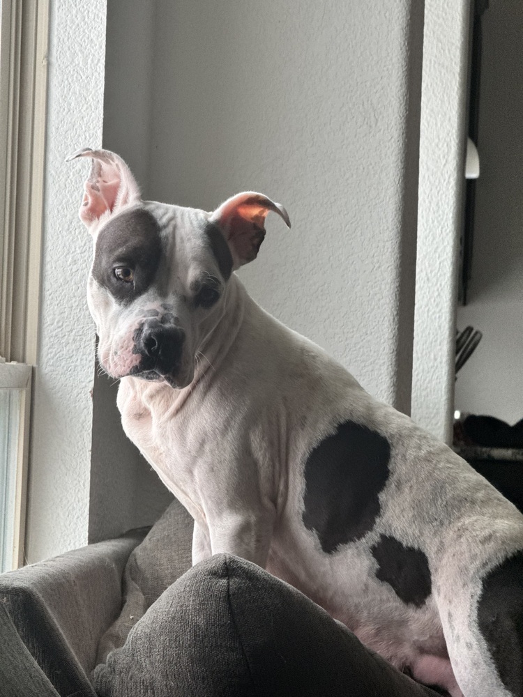 Penelope  photo 5