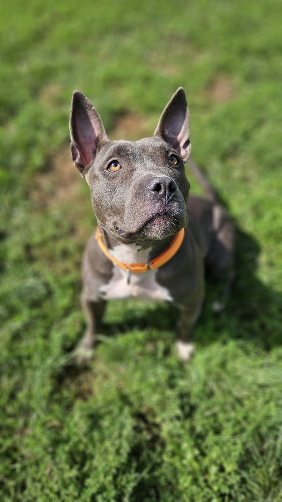 Winnie