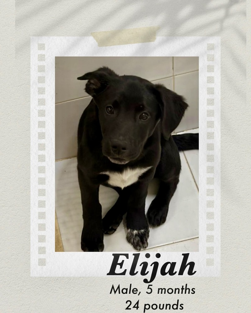 Photo of Elijah