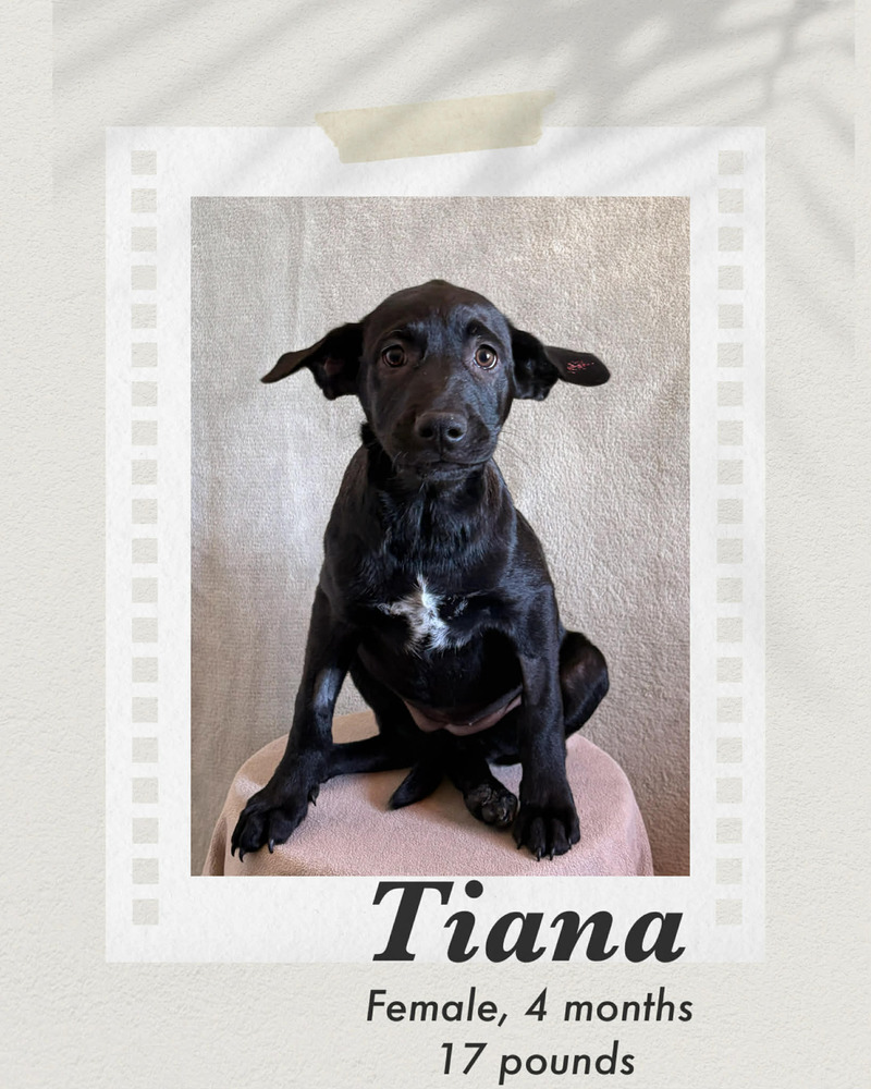 Photo of Tiana