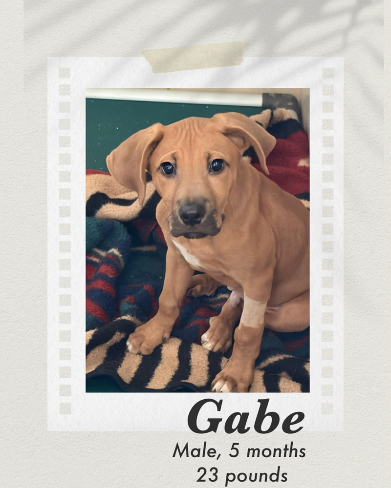 Photo of Gabe