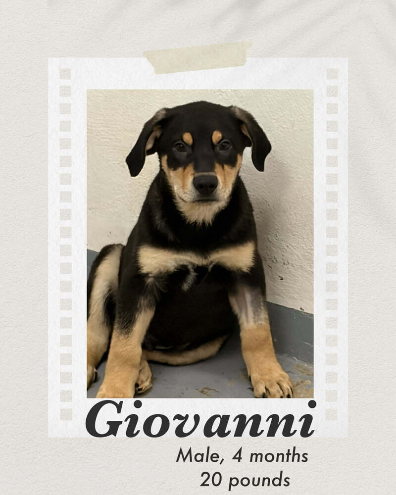 Photo of Giovanni
