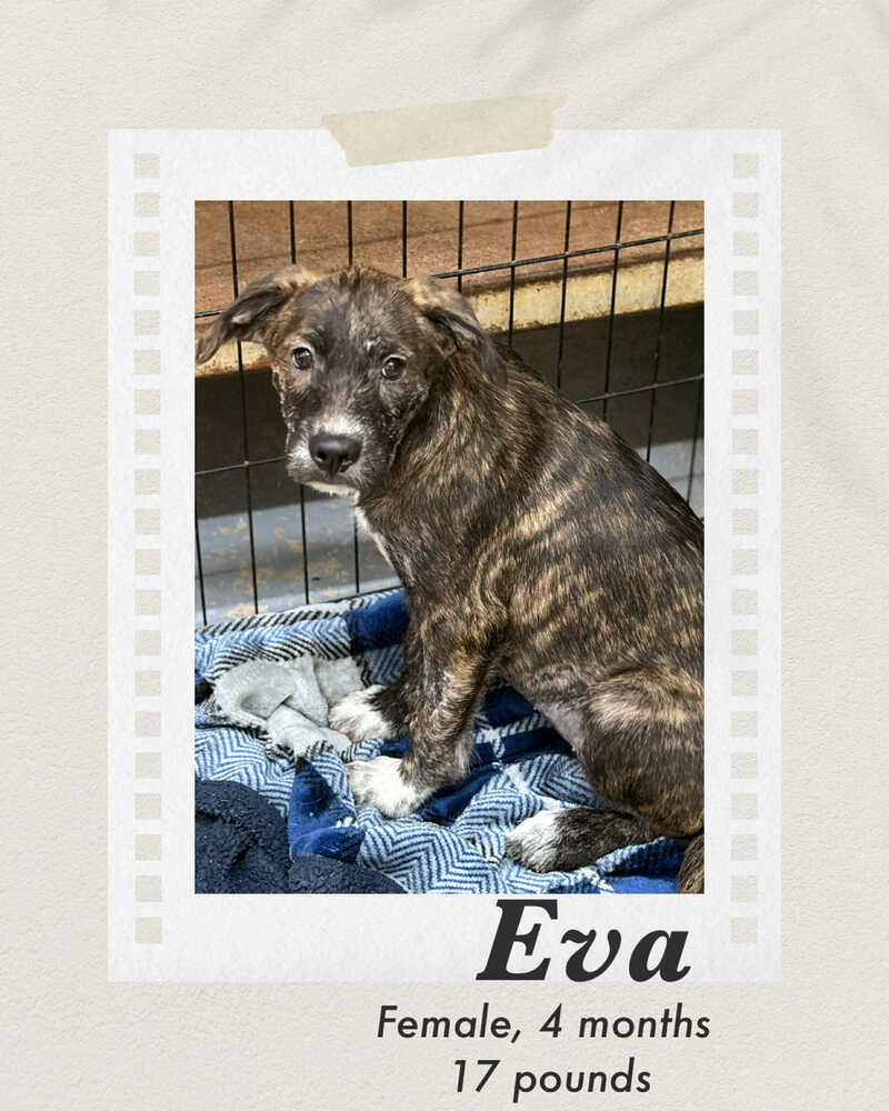Photo of Eva