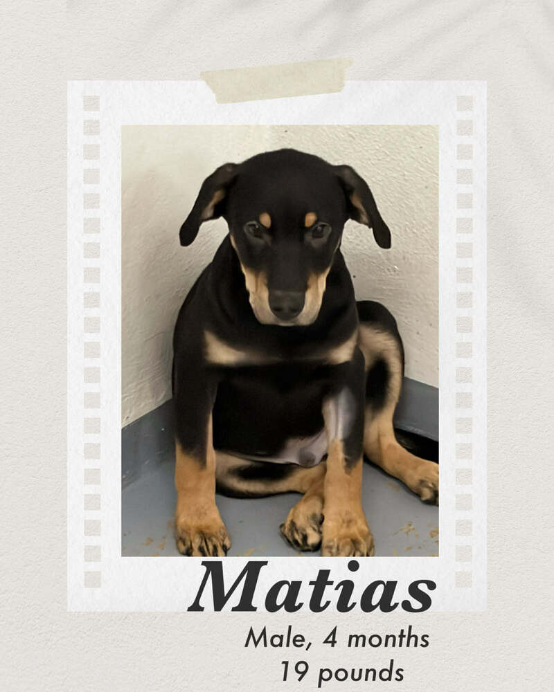Photo of Matias