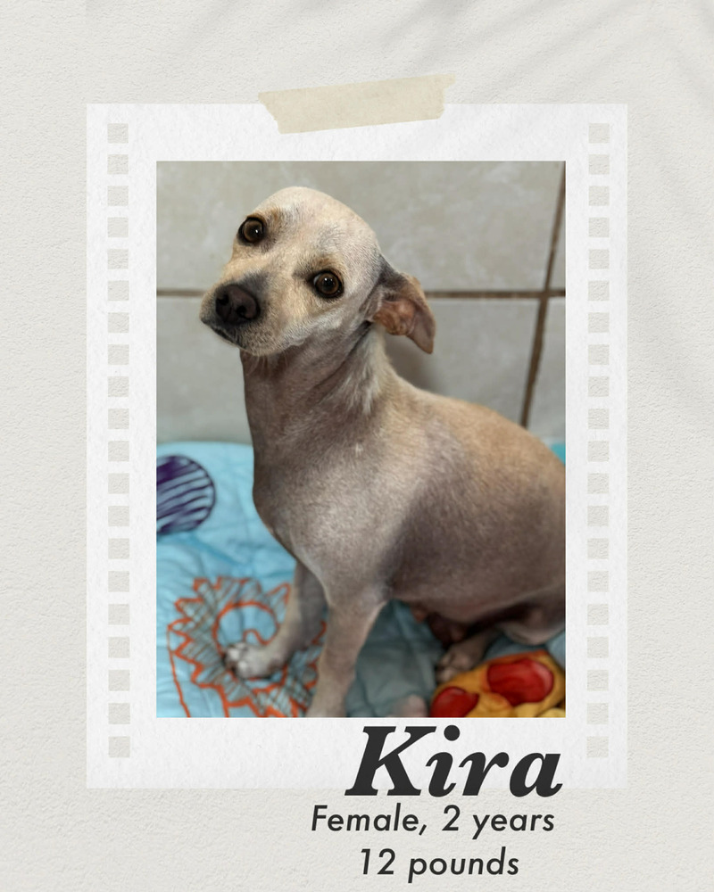 Photo of Kira