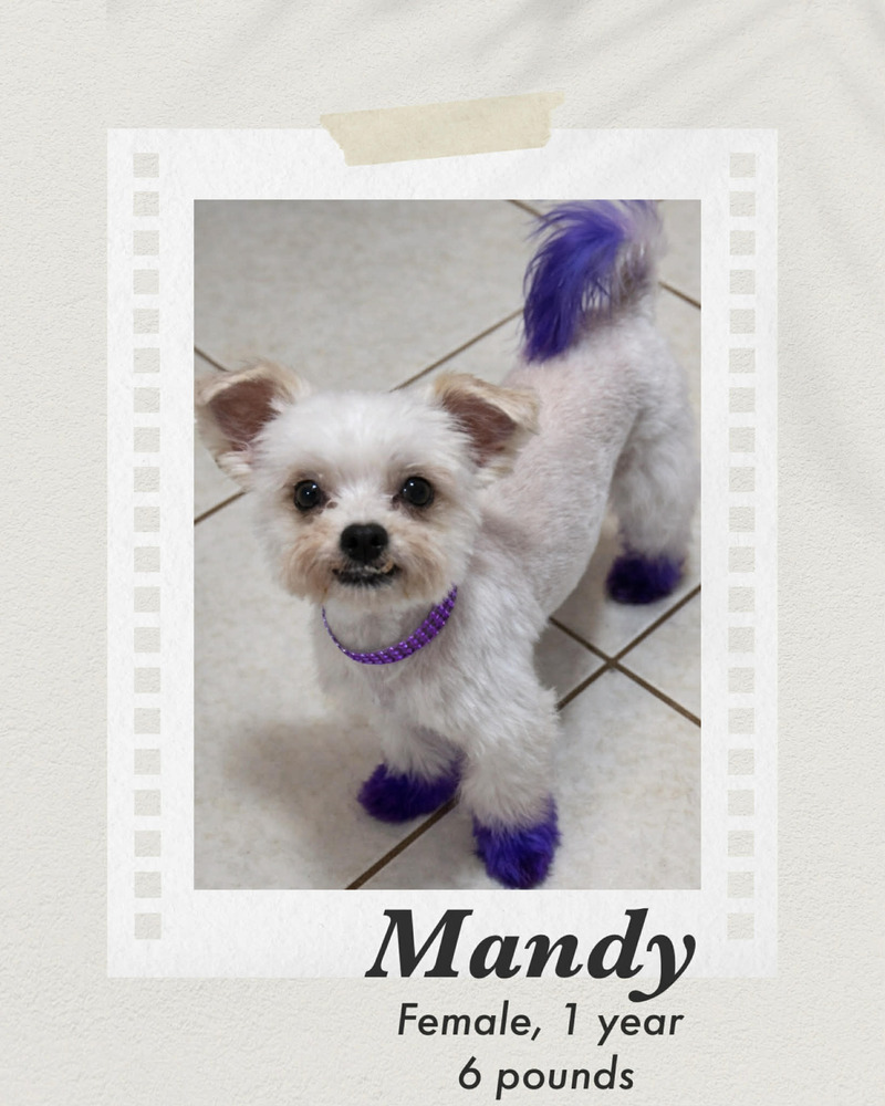 Photo of Mandy