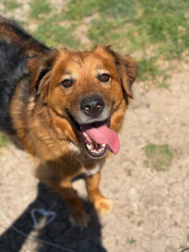 Heidi