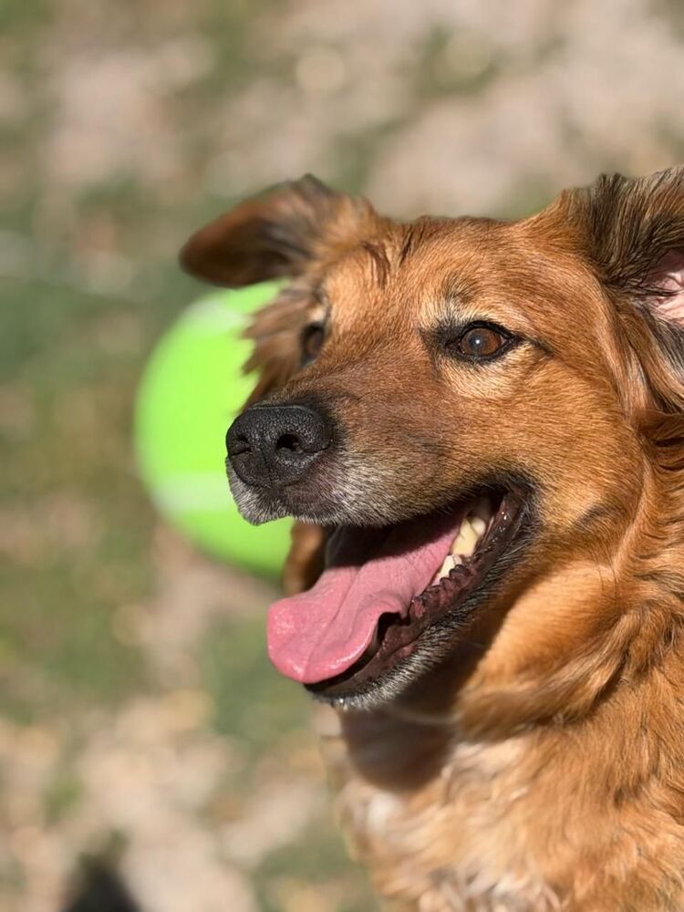 Heidi photo 2