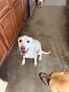 Miel (Honey), Marlee