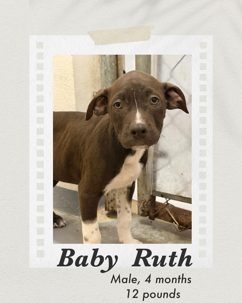 Photo of Baby Ruth