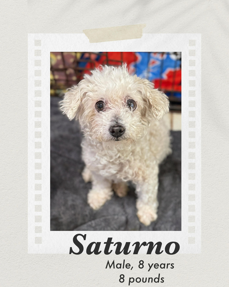 Photo of Saturno