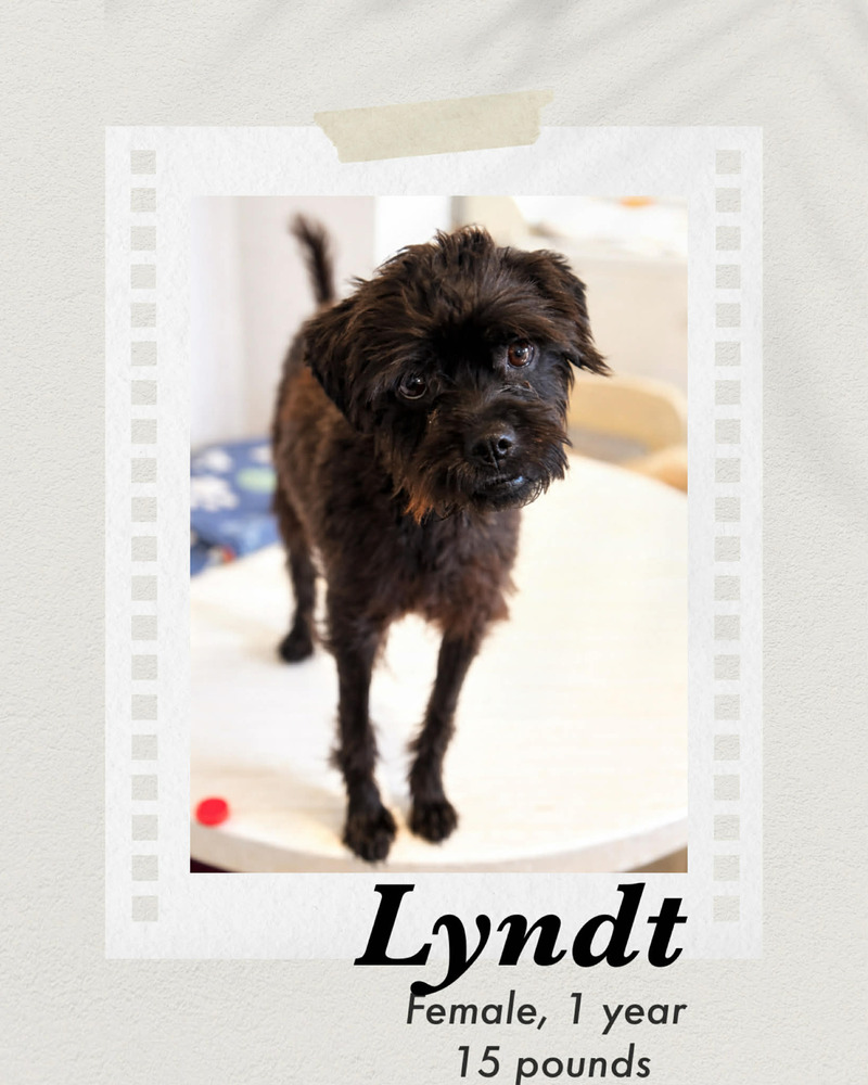 Photo of Lyndt
