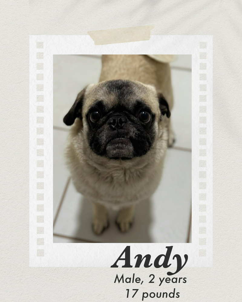 Photo of Andy