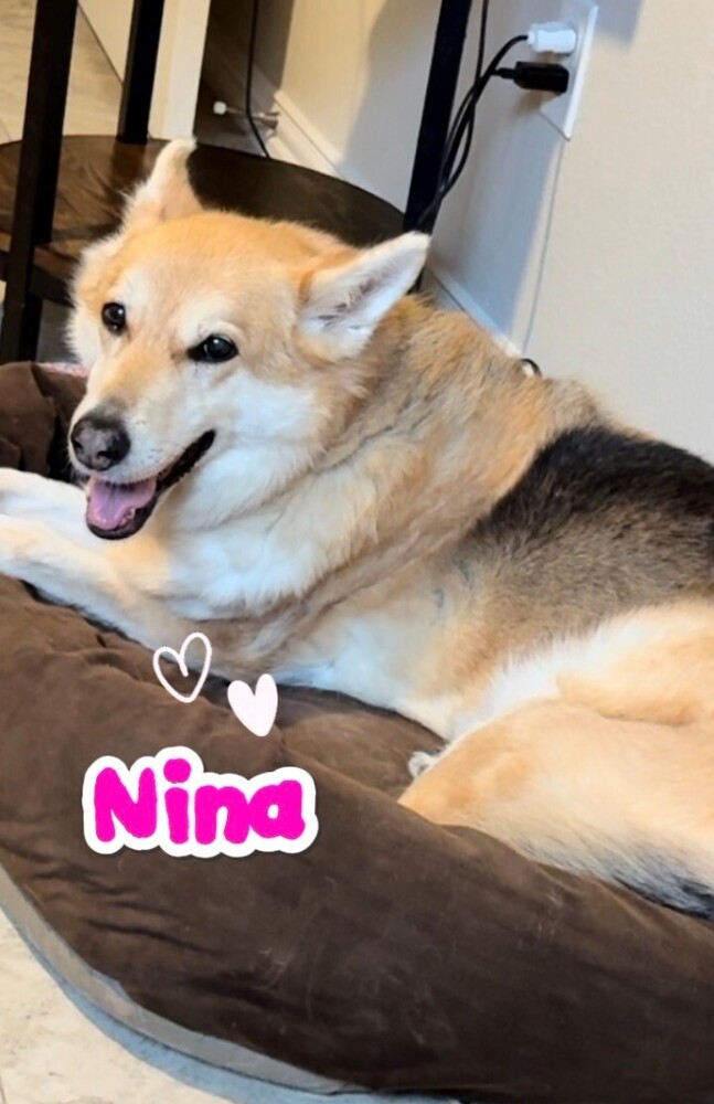 Nina (CP)